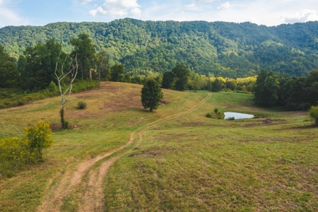 Auction Extravaganza: Secluded 200 Acres in Hawkins Co. TN - image 37