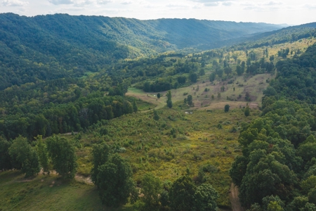 Auction Extravaganza: Secluded 200 Acres in Hawkins Co. TN - image 13