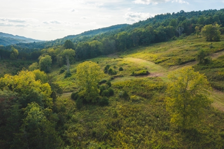 Auction Extravaganza: Secluded 200 Acres in Hawkins Co. TN - image 29