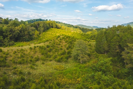 Auction Extravaganza: Secluded 200 Acres in Hawkins Co. TN - image 42