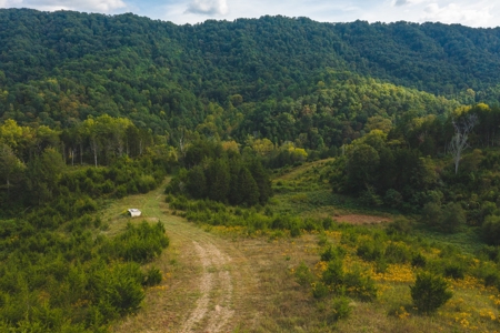 Auction Extravaganza: Secluded 200 Acres in Hawkins Co. TN - image 30