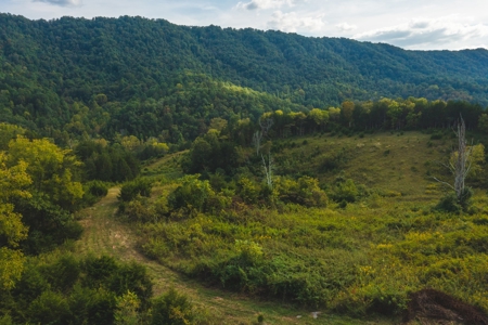 Auction Extravaganza: Secluded 200 Acres in Hawkins Co. TN - image 11