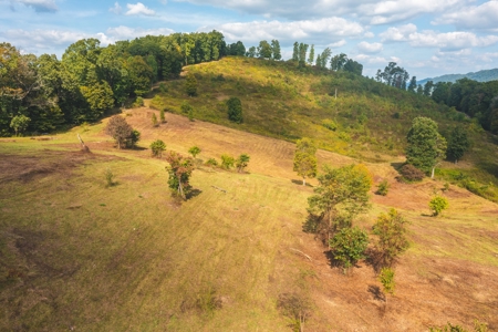 Auction Extravaganza: Secluded 200 Acres in Hawkins Co. TN - image 15