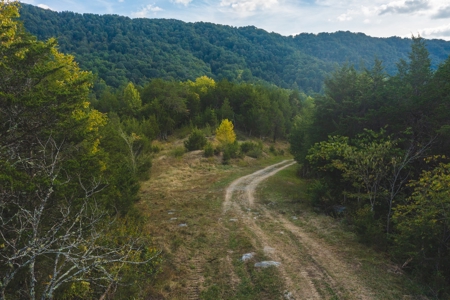 Auction Extravaganza: Secluded 200 Acres in Hawkins Co. TN - image 2