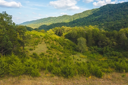 Auction Extravaganza: Secluded 200 Acres in Hawkins Co. TN - image 36