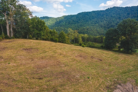 Auction Extravaganza: Secluded 200 Acres in Hawkins Co. TN - image 22