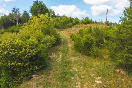 Auction Extravaganza: Secluded 200 Acres in Hawkins Co. TN - image 23