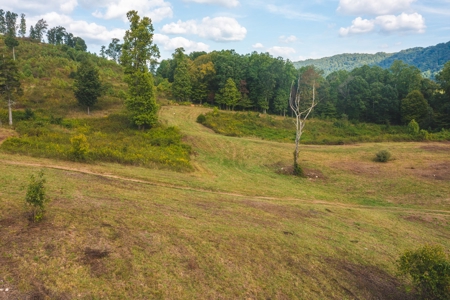 Auction Extravaganza: Secluded 200 Acres in Hawkins Co. TN - image 31