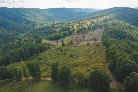 Auction Extravaganza: Secluded 200 Acres in Hawkins Co. TN - image 5