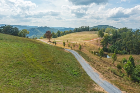 261 Acres Unrestricted Bliss on the Clinch River Auction TN - image 3