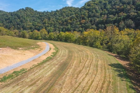 261 Acres Unrestricted Bliss on the Clinch River Auction TN - image 37