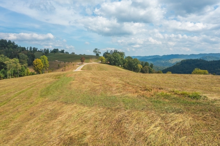261 Acres Unrestricted Bliss on the Clinch River Auction TN - image 9