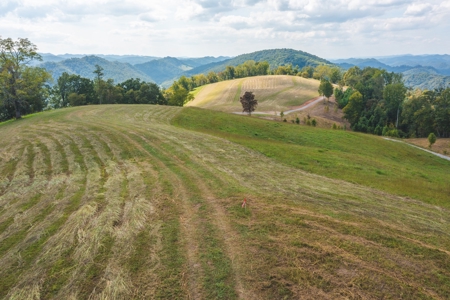 261 Acres Unrestricted Bliss on the Clinch River Auction TN - image 13