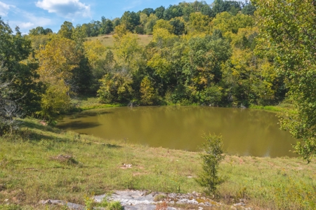 261 Acres Unrestricted Bliss on the Clinch River Auction TN - image 42