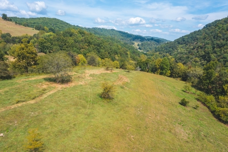 261 Acres Unrestricted Bliss on the Clinch River Auction TN - image 38