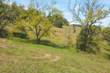261 Acres Unrestricted Bliss on the Clinch River Auction TN - image 34