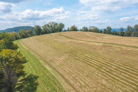 261 Acres Unrestricted Bliss on the Clinch River Auction TN - image 10