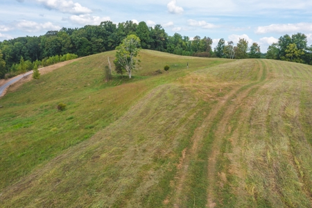 261 Acres Unrestricted Bliss on the Clinch River Auction TN - image 17
