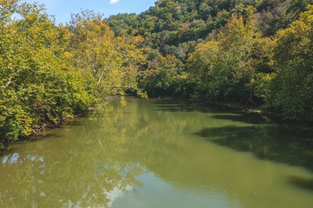 261 Acres Unrestricted Bliss on the Clinch River Auction TN - image 44