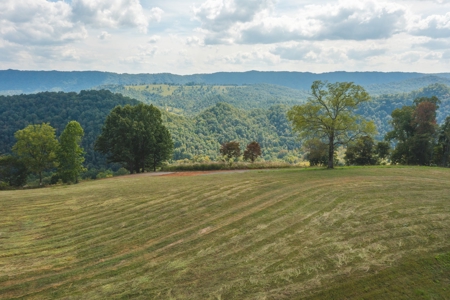 261 Acres Unrestricted Bliss on the Clinch River Auction TN - image 4