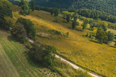 261 Acres Unrestricted Bliss on the Clinch River Auction TN - image 11