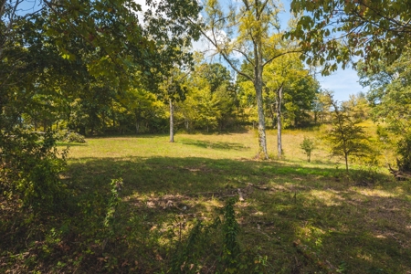 261 Acres Unrestricted Bliss on the Clinch River Auction TN - image 39