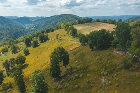 261 Acres Unrestricted Bliss on the Clinch River Auction TN - image 5