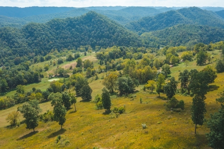 261 Acres Unrestricted Bliss on the Clinch River Auction TN - image 7