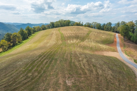 261 Acres Unrestricted Bliss on the Clinch River Auction TN - image 8