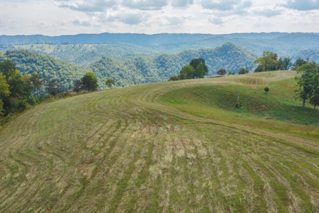 261 Acres Unrestricted Bliss on the Clinch River Auction TN - image 18