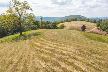 261 Acres Unrestricted Bliss on the Clinch River Auction TN - image 26