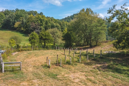 261 Acres Unrestricted Bliss on the Clinch River Auction TN - image 40