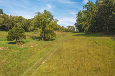 261 Acres Unrestricted Bliss on the Clinch River Auction TN - image 33