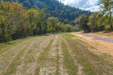 261 Acres Unrestricted Bliss on the Clinch River Auction TN - image 50