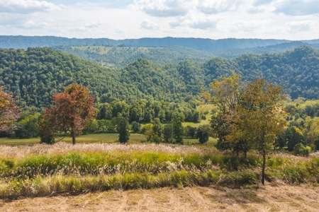 261 Acres Unrestricted Bliss on the Clinch River Auction TN - image 19