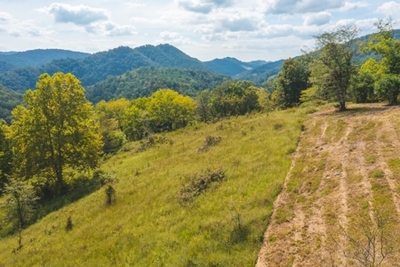 261 Acres Unrestricted Bliss on the Clinch River Auction TN - image 22