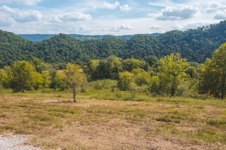 261 Acres Unrestricted Bliss on the Clinch River Auction TN - image 31