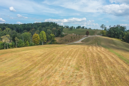 261 Acres Unrestricted Bliss on the Clinch River Auction TN - image 16