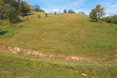 261 Acres Unrestricted Bliss on the Clinch River Auction TN - image 29