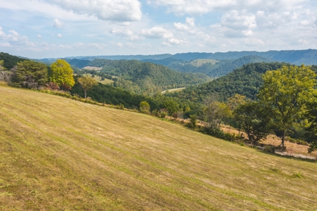 261 Acres Unrestricted Bliss on the Clinch River Auction TN - image 30