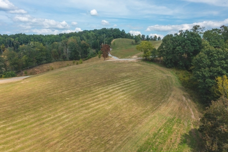 261 Acres Unrestricted Bliss on the Clinch River Auction TN - image 15