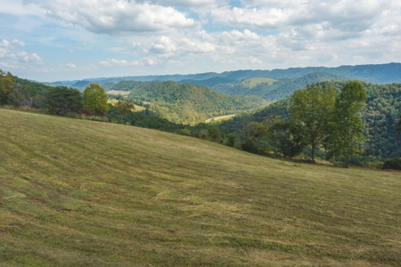 261 Acres Unrestricted Bliss on the Clinch River Auction TN - image 12