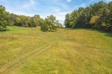 261 Acres Unrestricted Bliss on the Clinch River Auction TN - image 47