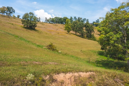 261 Acres Unrestricted Bliss on the Clinch River Auction TN - image 27