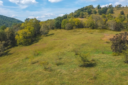 261 Acres Unrestricted Bliss on the Clinch River Auction TN - image 45