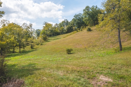 261 Acres Unrestricted Bliss on the Clinch River Auction TN - image 32