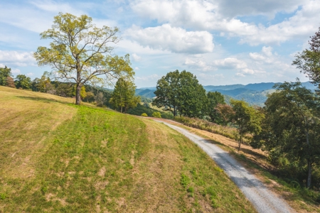 261 Acres Unrestricted Bliss on the Clinch River Auction TN - image 14