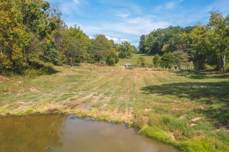 261 Acres Unrestricted Bliss on the Clinch River Auction TN - image 28