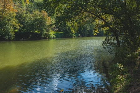 261 Acres Unrestricted Bliss on the Clinch River Auction TN - image 46