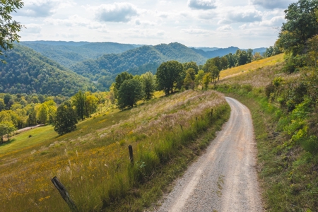 261 Acres Unrestricted Bliss on the Clinch River Auction TN - image 21